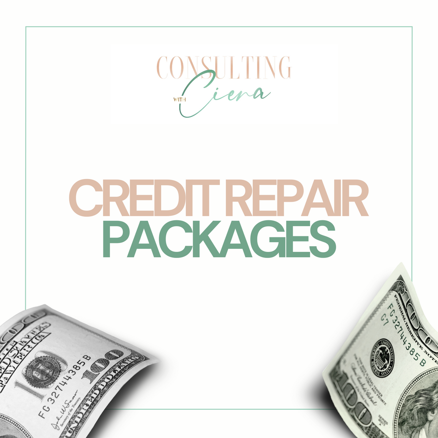 Credit Repair Packages