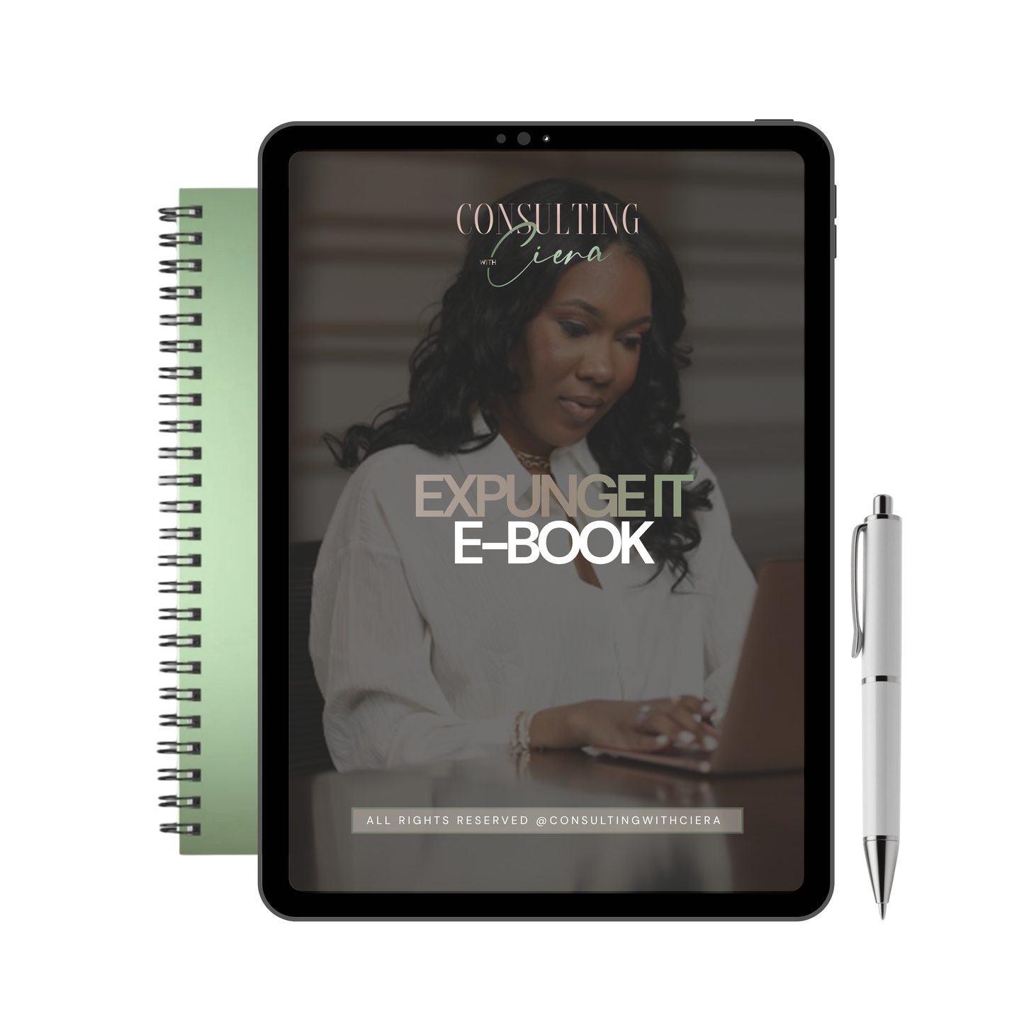 Expunge it E-Book