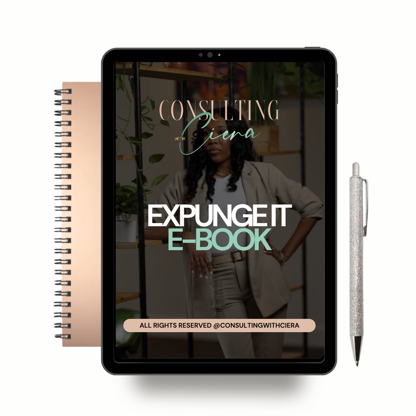 Expunge it E-Book